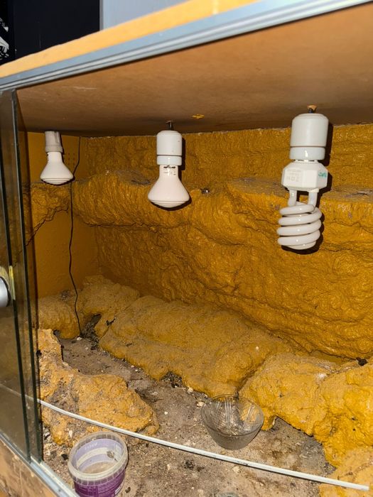 Terrario para repteis