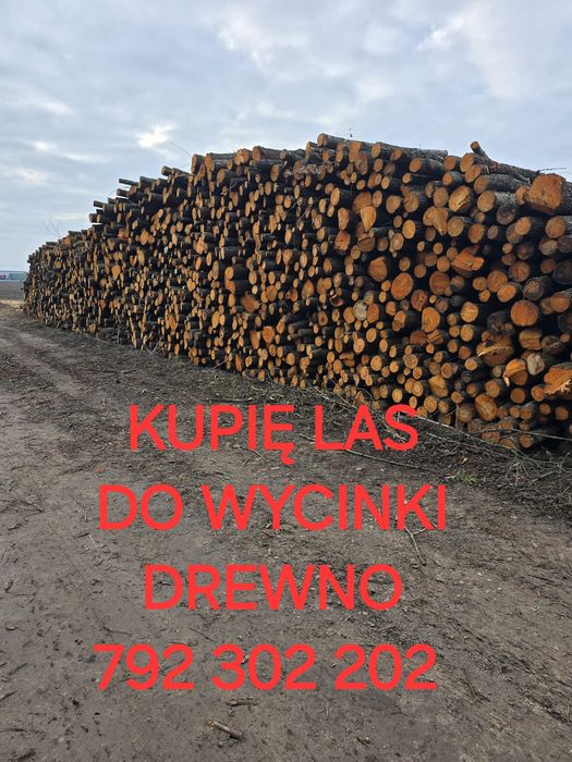 Las sosnowy liściasty drewno