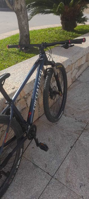 Specialized rockhopper expert 2x 2019