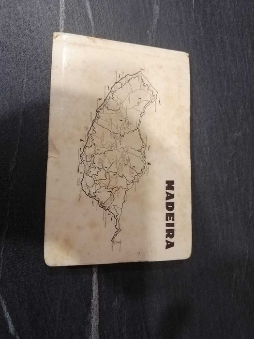 Lote Coleção Escudos: Notas, Moedas e Carteira Autonomia Madeira