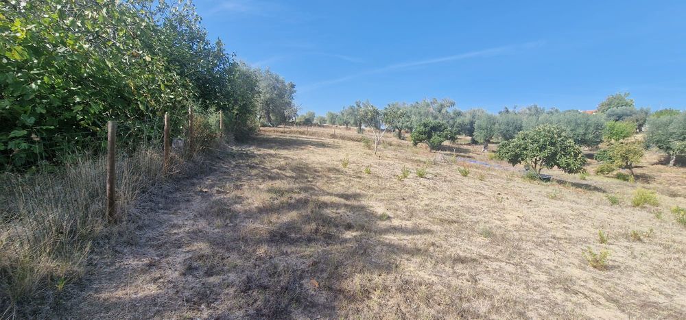 T2 em TOMAR, com Terreno a 1, 5km Centro da cidade.