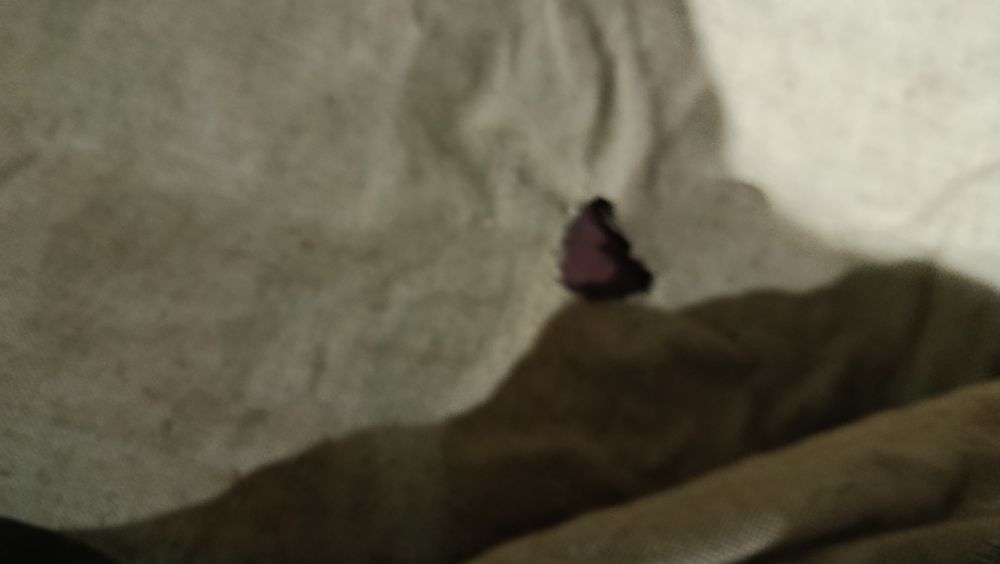 Куртка сварщика р60-62