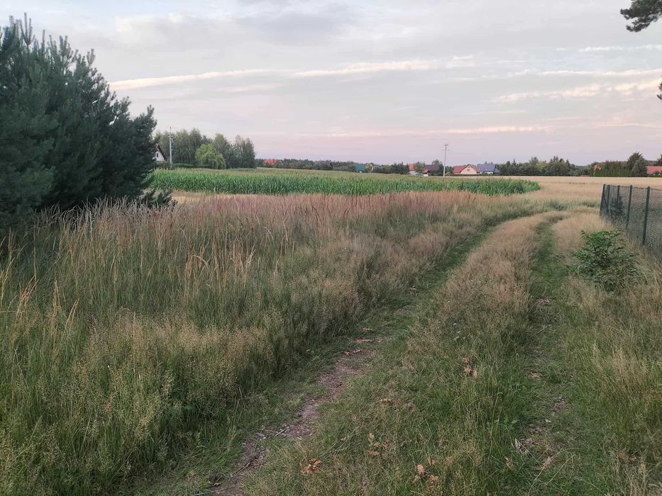 Działka rekreacyjna Wieleń