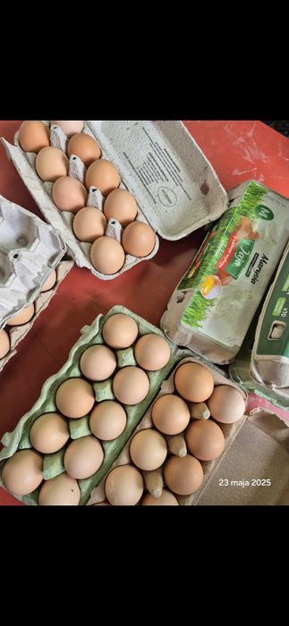 Jajka wiejskie  Duże ilości