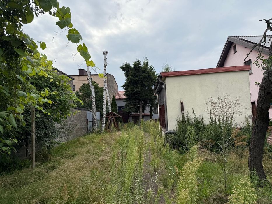 Zdjęcie 4