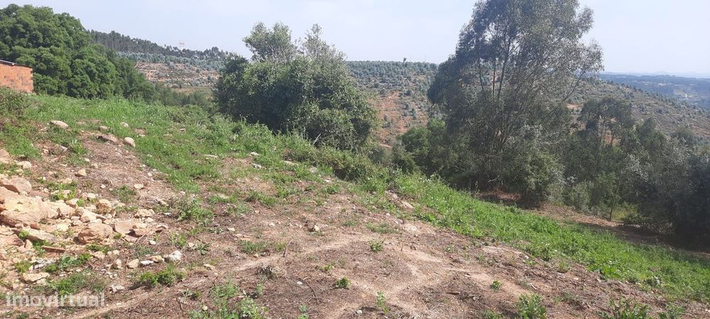 Terreno urbano 680mt2- Vila Nova da Barquinha