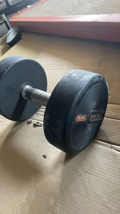 Halteres Technogym