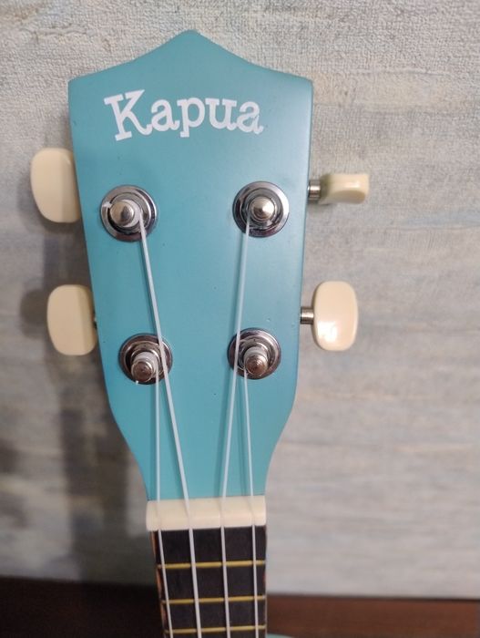 Укулеле Kapua Figure UKU2-LBL (сопрано) з чохлом.

Це фітнес-колесо Do