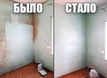 Удаление плесени, грибка. Уничтожение плесени. Обработка от плесени.