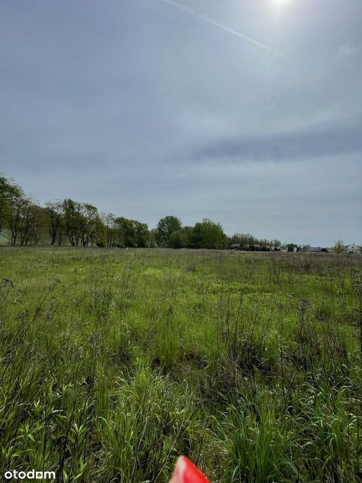 Działka 1,35 ha Kępa Zawadowska