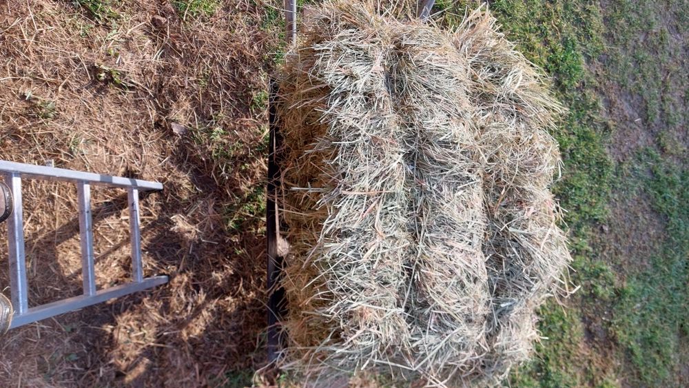 Sprzedam siano w kostkach