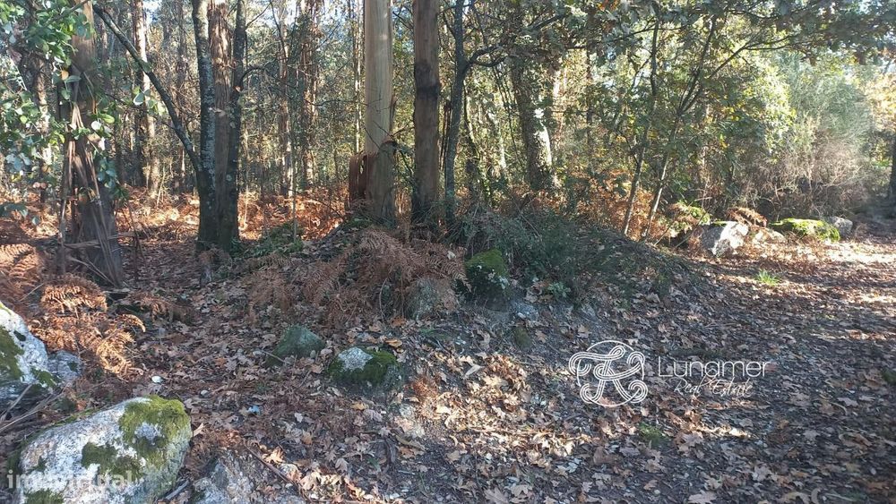 Terreno na zona industrial de Palmeira, Santo Tirso