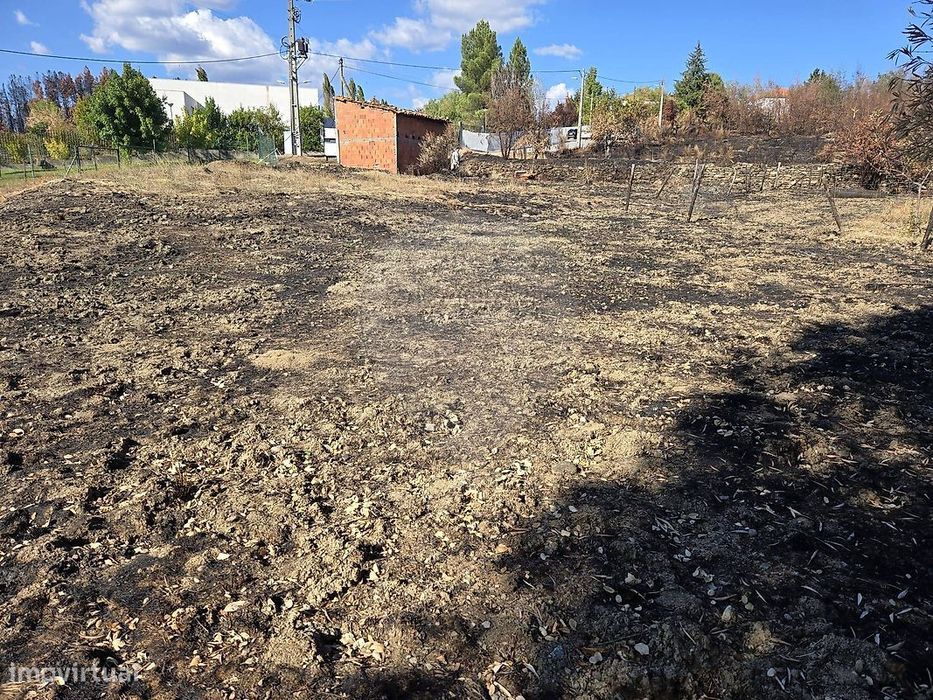 Terreno  para venda — Silvares, Castelo Branco