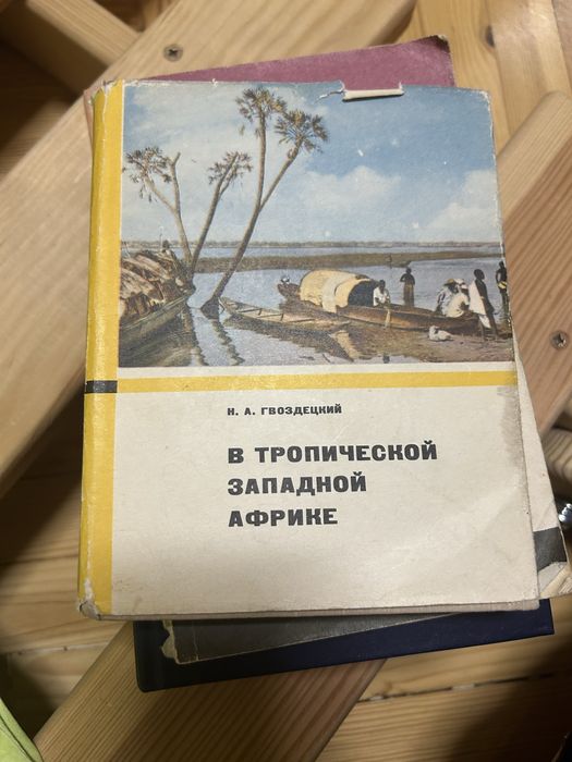 В тропической западной африке