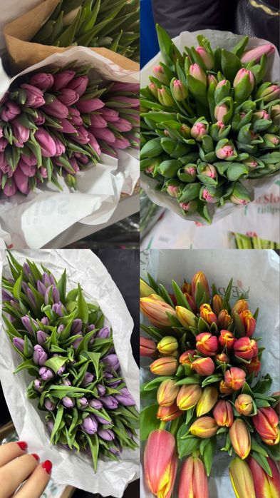 Тюльпаны оптом опт пачками цветы Одесса