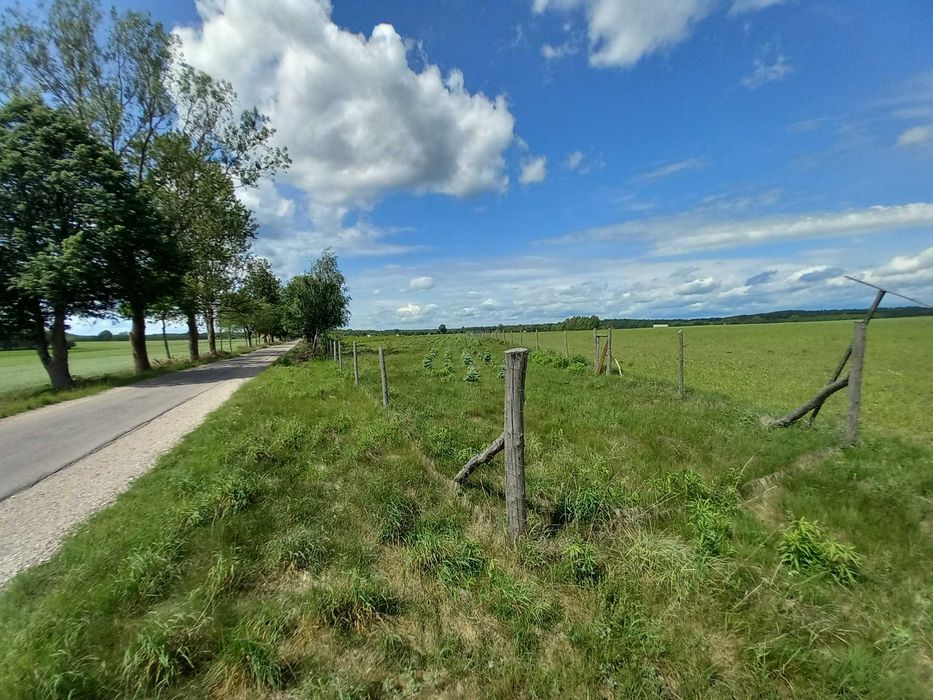 Sprzedam działkę Stare Wierzchowo choinki jezioro budowa