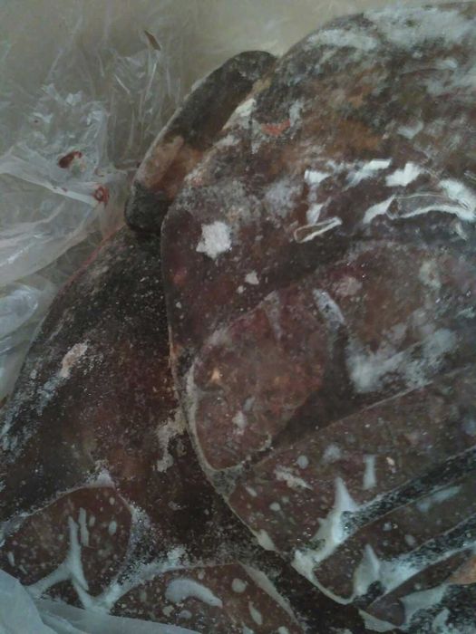 Субпродукти та м'ясо для собак та котів!!!