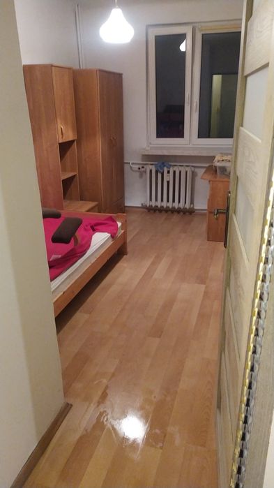 Mieszkanie na wynajem 2 pokoje 48m2