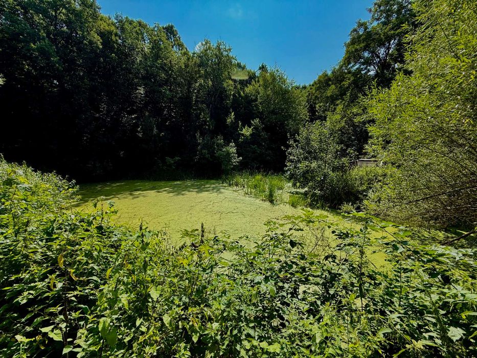 Розплідник «Енейко» з житловим будинком та ділянкою 0.72 га з озером