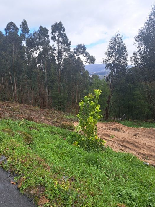 Terrenos para construcao