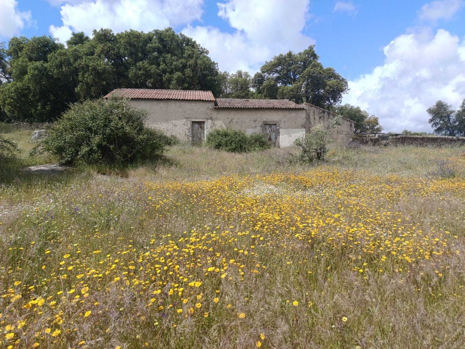 Terreno Ideal para Refúgio de Campo, 7 hectares , Nisa