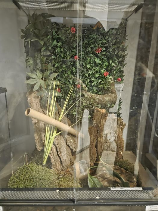Terrarium 2 sztuki
