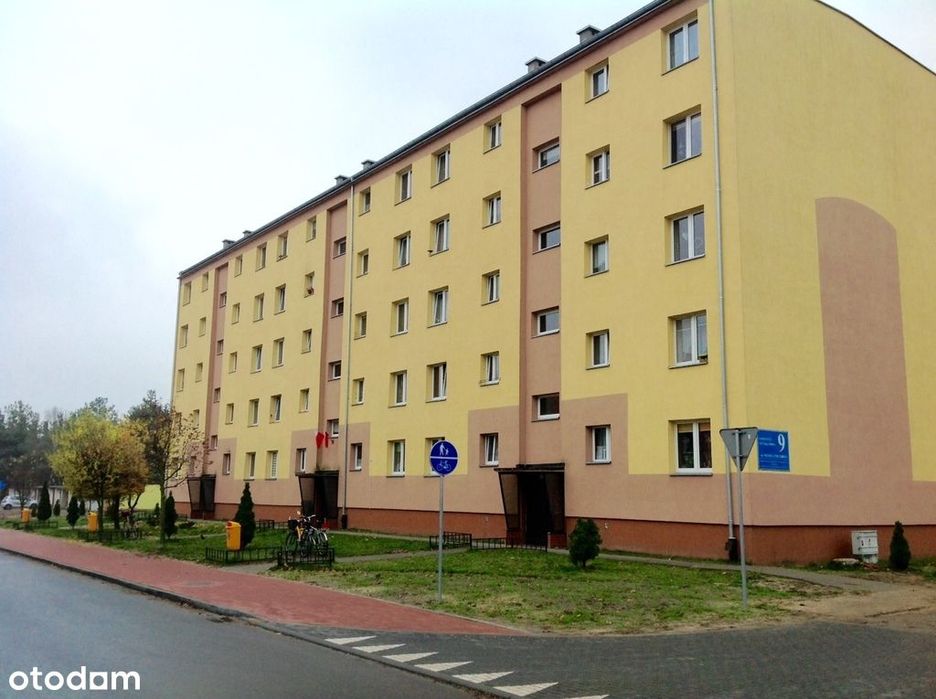 Słoneczne, dwupokojowe mieszkanie na wynajem