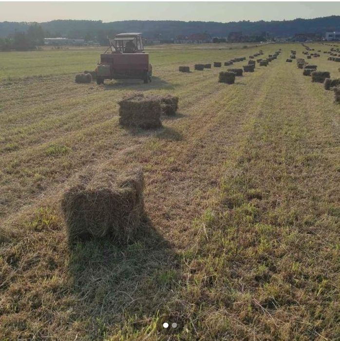 Siano ekologiczne w kostkach