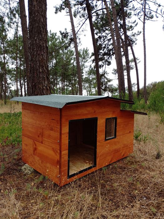 Casota para pastor astraliano