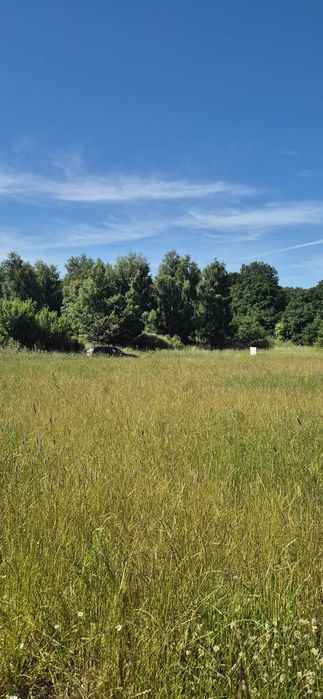 Na sprzedaż działka rekreacyjna w Sasinie – blisko morza i lasu! - Widok 5