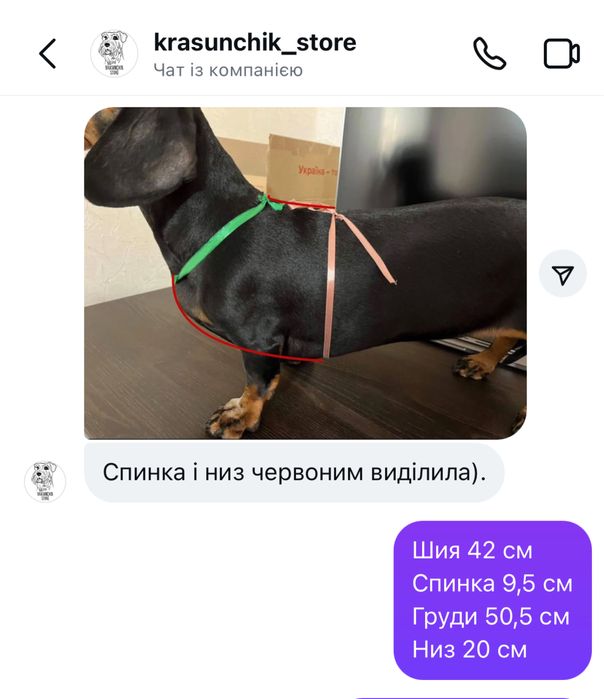 Анатомічна шлейка для собак