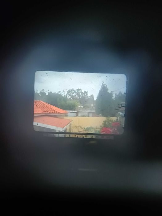 Minolta SRT 101 + Minolta MD Rokkor 50mm f/1.7 + Unitor 35-70mm