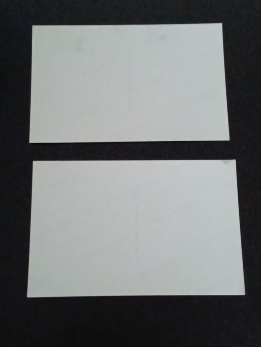 Duas fotografias originais Pinto da Costa, Manuel Damásio