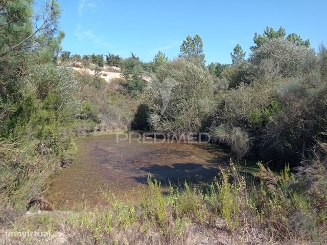 HERDADE 44 hectares em Margem, Gavião — Margem, Portalegre