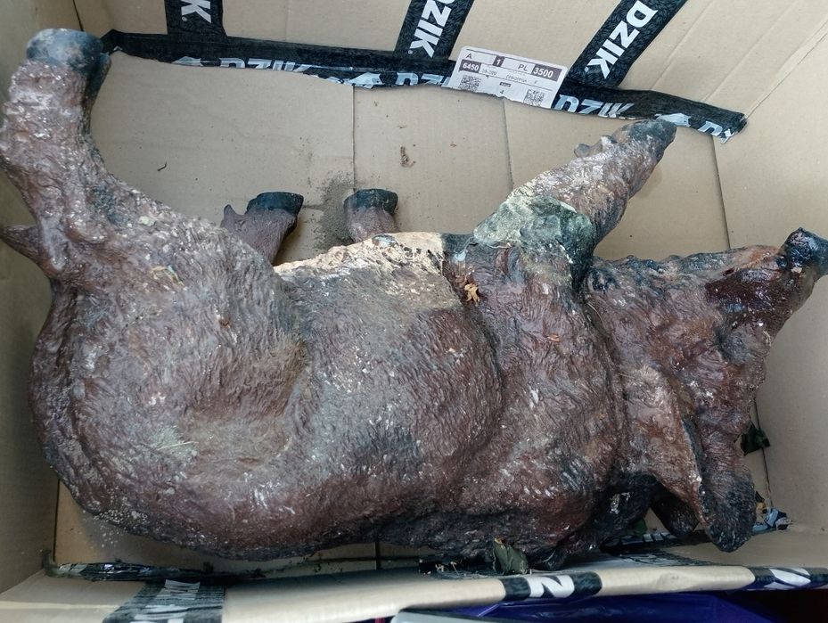 Figura rzeźba ogrodowa dekoracja ozdoba dzik