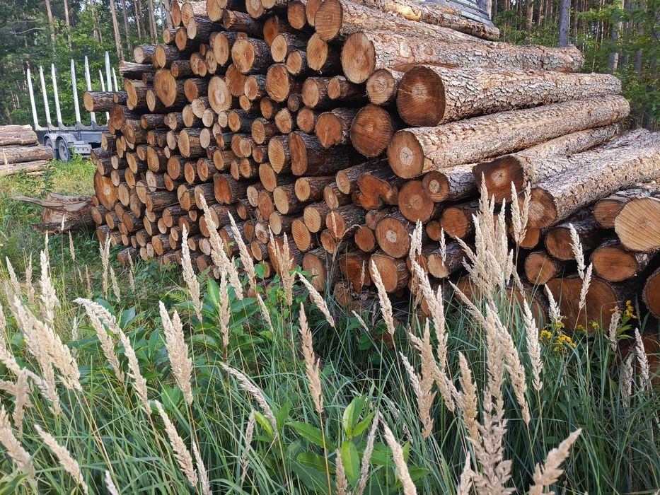 Drewno opałowe kominkowe w wałku 2.5m
