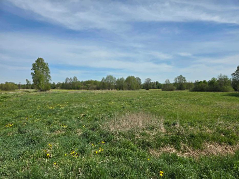 Działka z WZ 8500 m2
