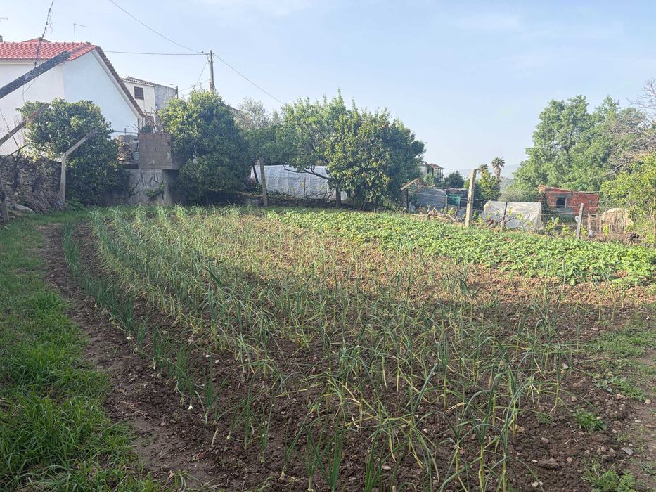 Terreno Ubano/Rural em Meireles, Vilas Boas
