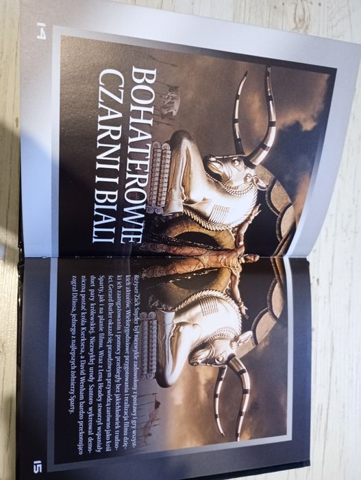 300 - wybrańcy mocy Dvd