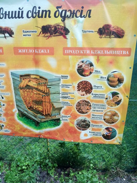 Продам смачний мед з Власної пасіки