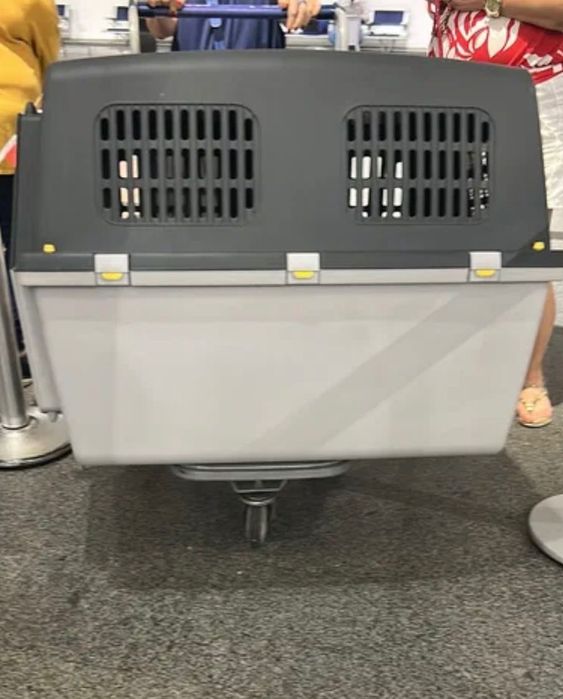 Caixa transporte cao