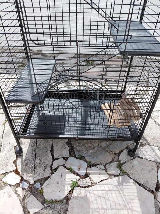 Gaiola para hamster  grande