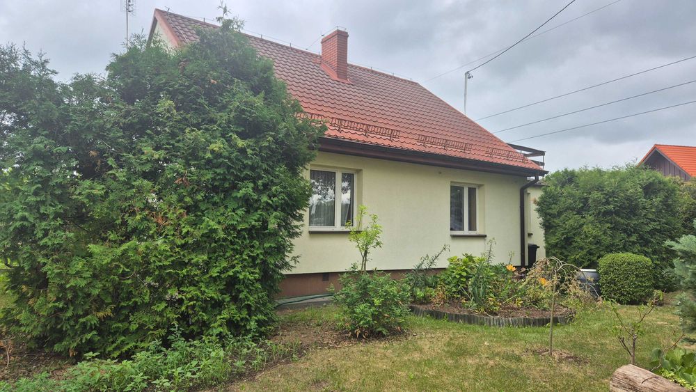 Dom z ogrodem – Iłów