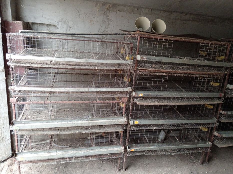 Продам Б/У клетки для перепелов.