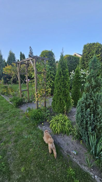 Działka Rekreacyjna RODO 400 m² prąd+woda+domek betonowy. - Widok 5