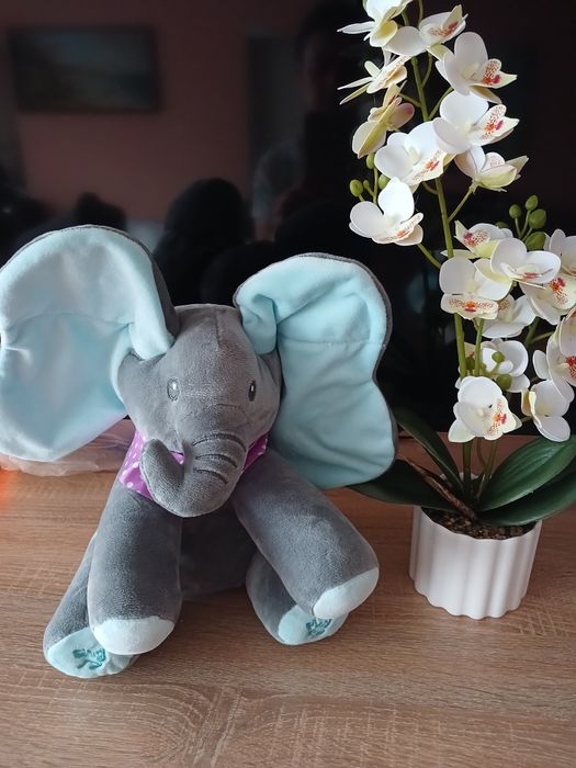 Слоник,що грає в хованки