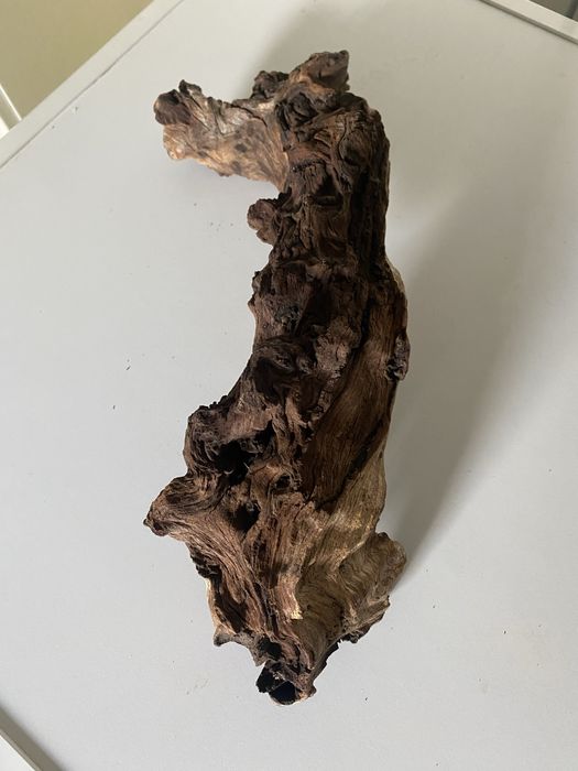 Корч коряга корінь Мопані