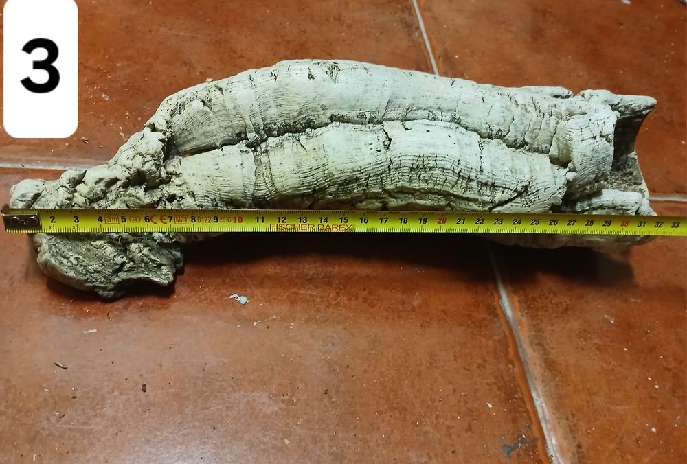 Cortiça para terrario ou decoração