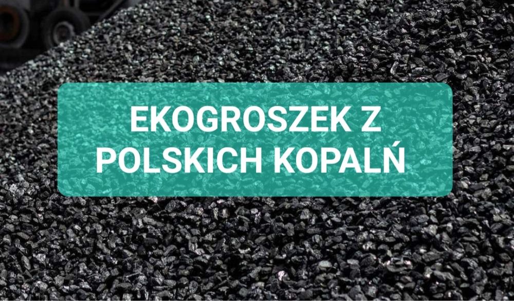 Ekogroszek Polski  Skarbek 28mj