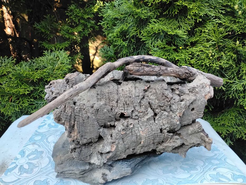 Bardzo duża grota   ok.30cm